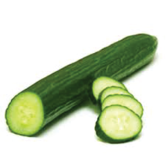 Picture of ENGLISH CUCUMBER EACH