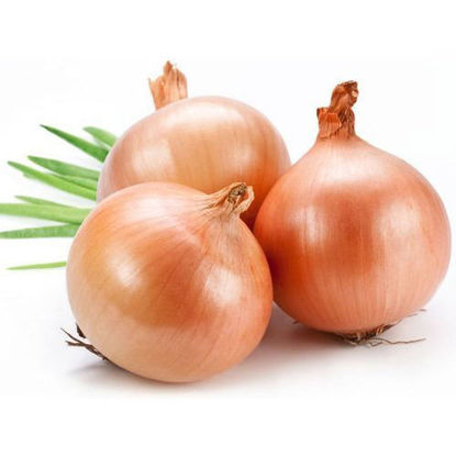 Picture of ONIONS 1KG