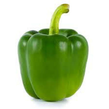 Picture of GREEN PEPPER TP